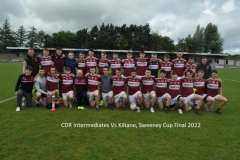 2022-CDR-Intermediates