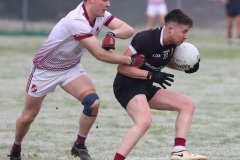 Image-15