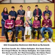 Bord na Óg Awards 2025