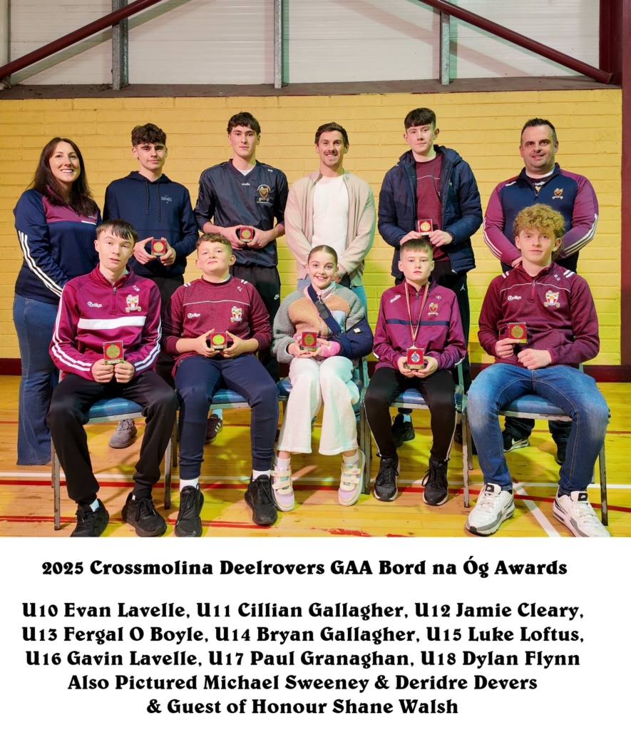 Bord na Óg Awards 2025