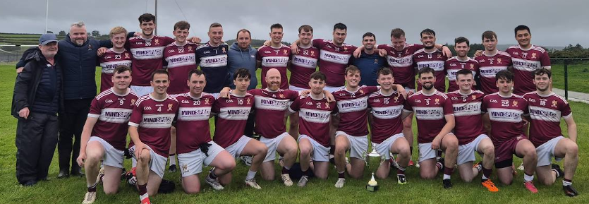 North Mayo Junior Demographics Summer League Final Winners